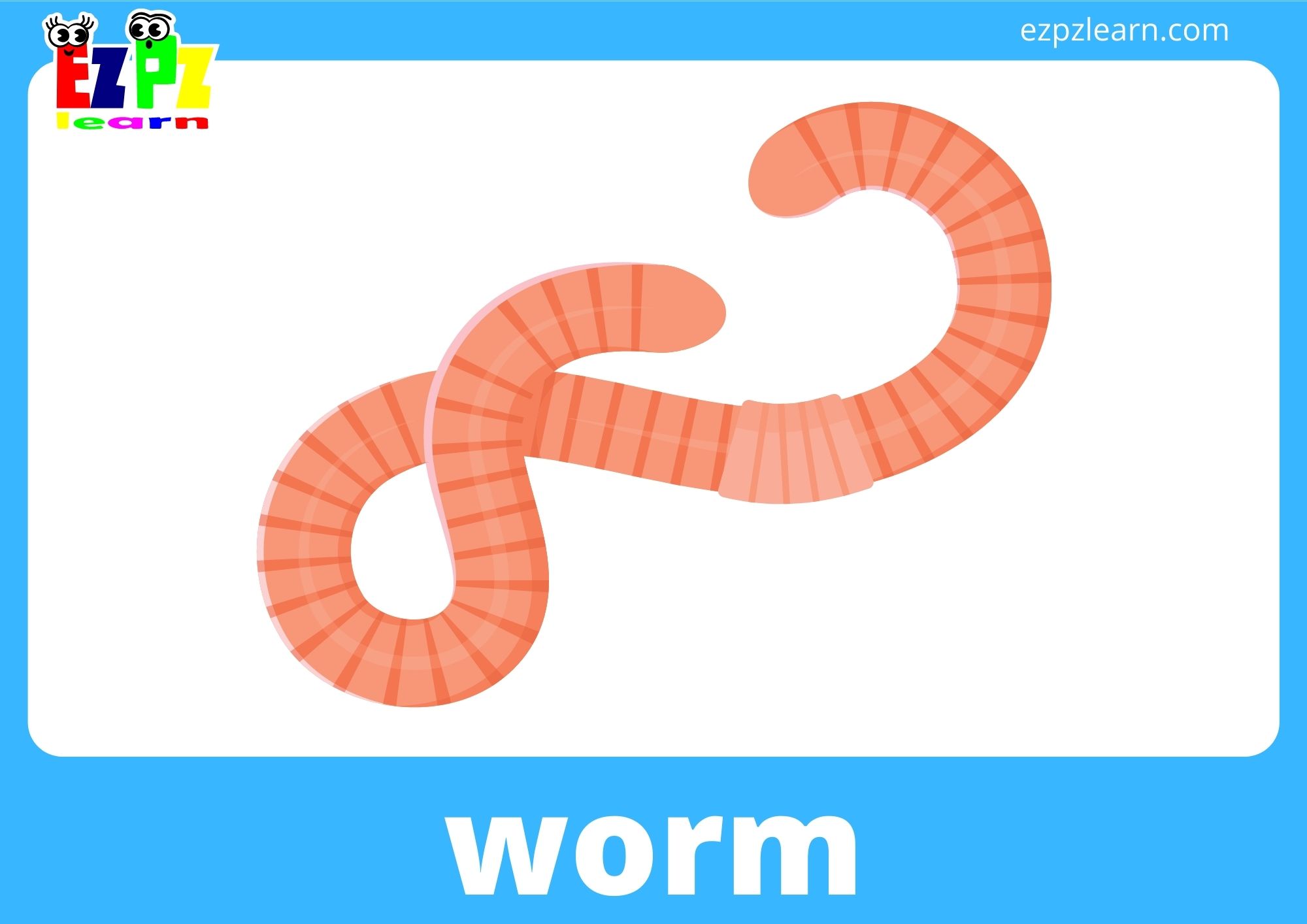 worm